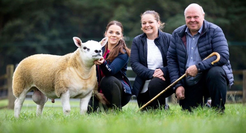 بيع أغلى خروف في العالم بنصف مليون دولار 