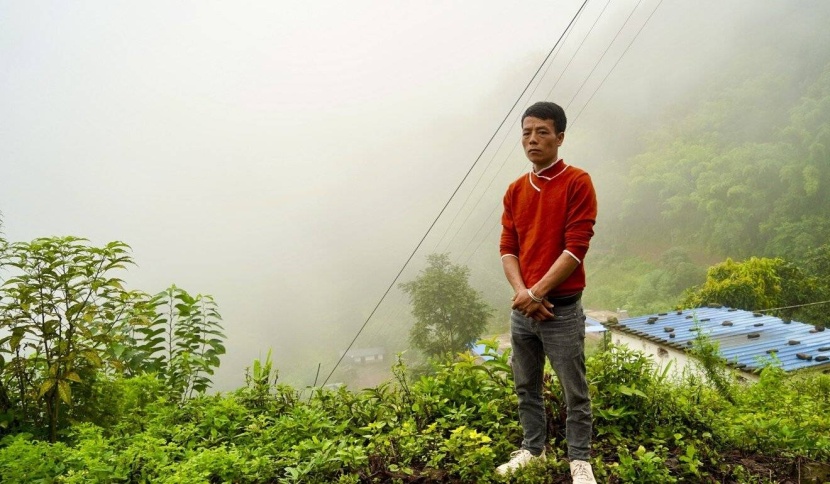 الجراد يهاجم محاصيل الصين .. 40 حشرة على النبتة الواحدة