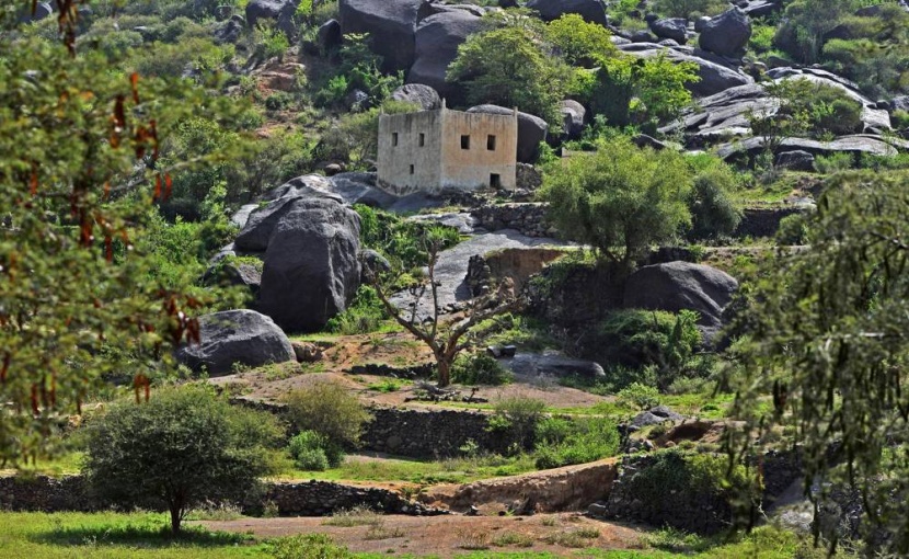 «تنفس» فرصة لاكتشاف طبيعة المملكة .. جزر وغابات وجبال وواحات