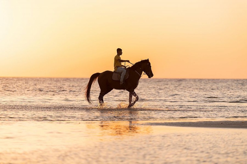   عروض للخيالة في شواطئ أملج تبهر أنظار الأهالي والزوار