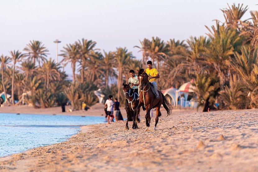   عروض للخيالة في شواطئ أملج تبهر أنظار الأهالي والزوار