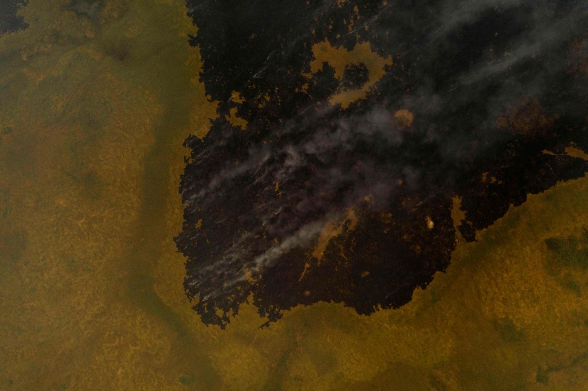 النيران تحول جنة للتنوع الحيوي في البرازيل إلى جحيم