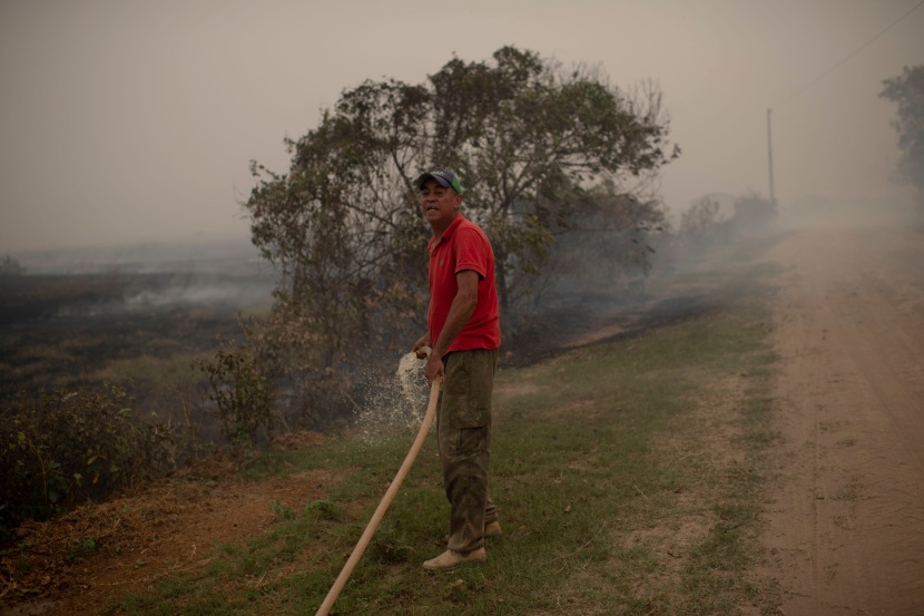 النيران تحول جنة للتنوع الحيوي في البرازيل إلى جحيم