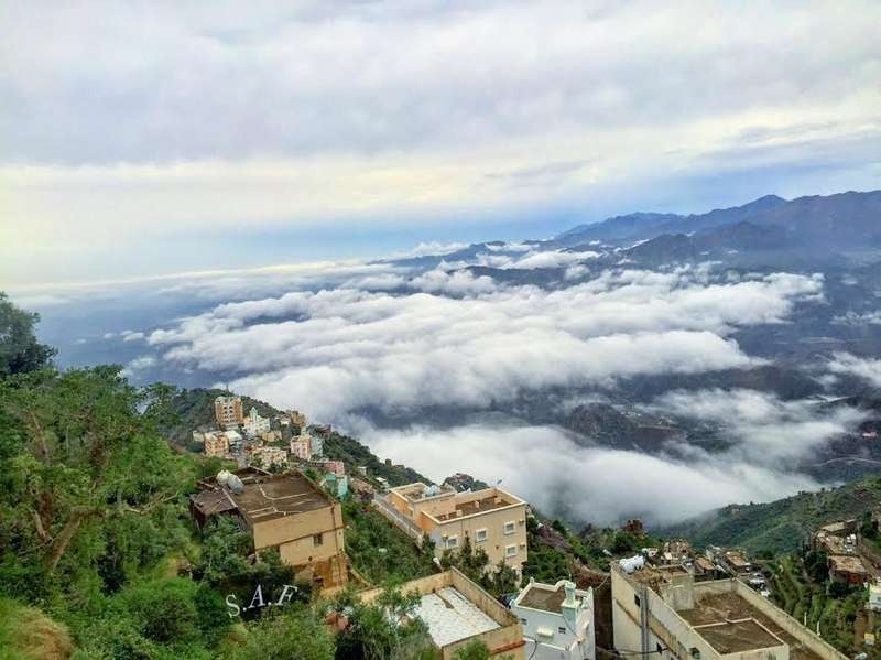 فيفاء جارة القمر .. أرض الحدائق المعلّقة