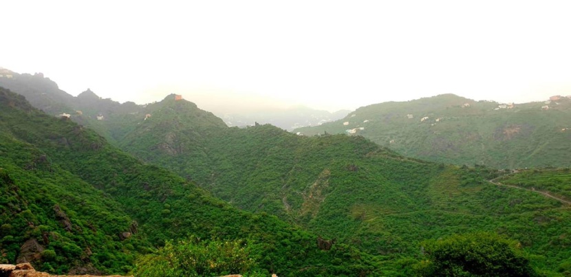 فيفاء جارة القمر .. أرض الحدائق المعلّقة