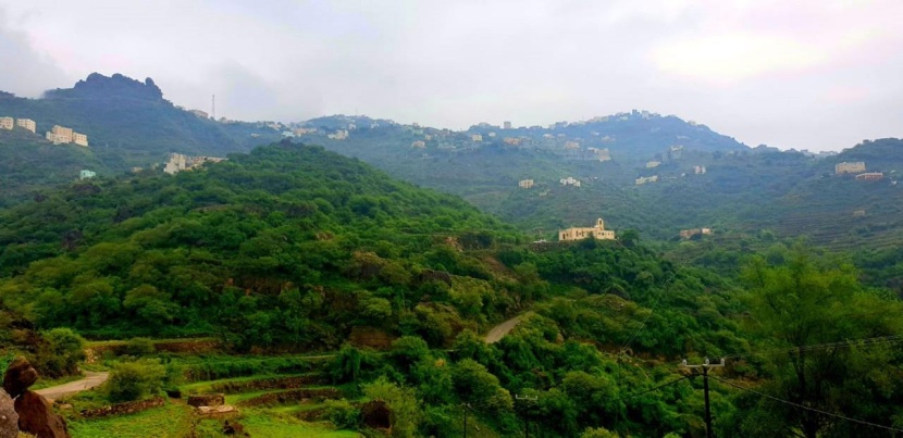 فيفاء جارة القمر .. أرض الحدائق المعلّقة