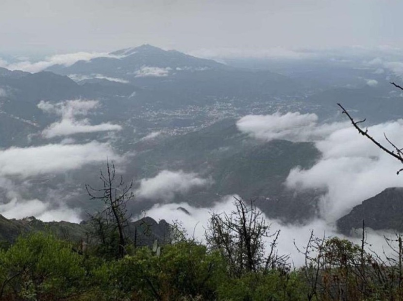 فيفاء جارة القمر .. أرض الحدائق المعلّقة