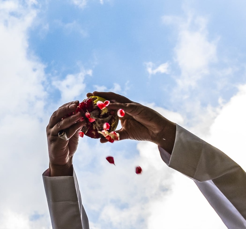 الباحة تزود الأسواق المحلية والإقليمية بـ 30 ألف طن من الرمان 