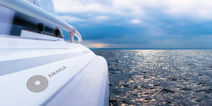 رؤيتها استوحيت من الفنون والصحة والرفاهية .. فما معنى "أمالا" ؟