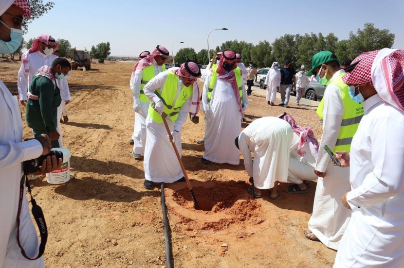 مبادرات التشجير .. استمرارها يرفع مستوى الوعي بقضايا البيئة