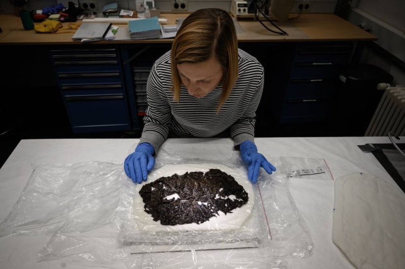 ذوبان الجليد في الألب يكشف عن كنوز مخفية منذ آلاف الأعوام