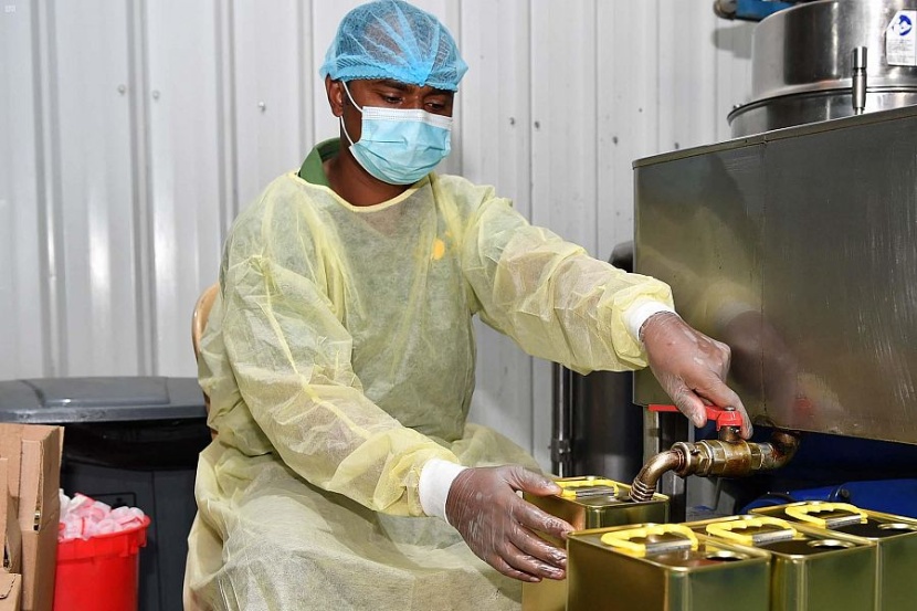 تبوك : معاصر الزيتون تستقبل حصاد 800 ألف شجرة في المنطقة