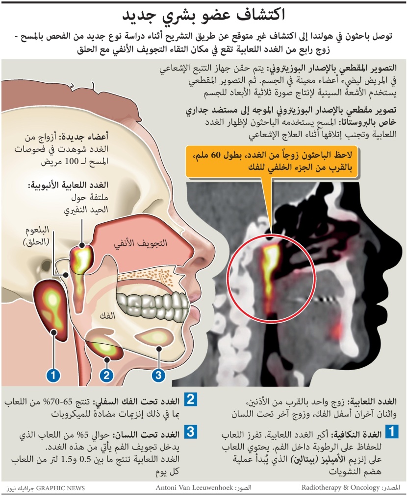  الباحثون في مجال السرطان يكتشفون غددا جديدة