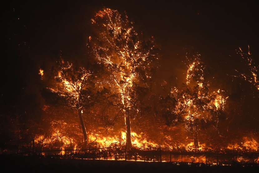 دمرت 4 ملايين فدان .. حرائق غابات قياسية في كاليفورنيا