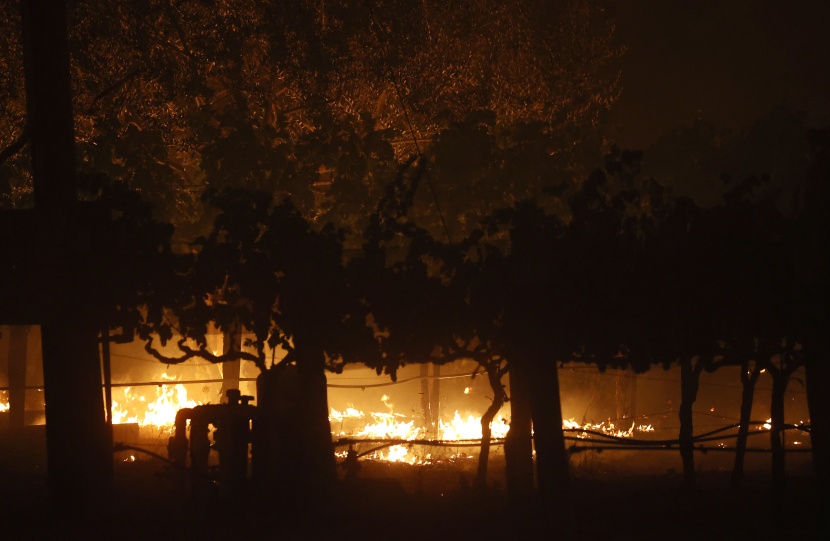 دمرت 4 ملايين فدان .. حرائق غابات قياسية في كاليفورنيا