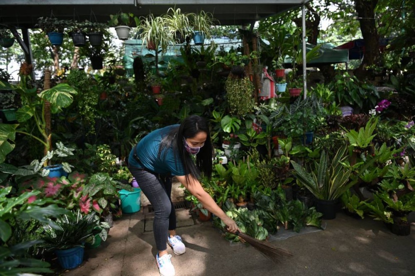 للتغلب على الملل .. الفلبينيون يتجهون إلى البستنة