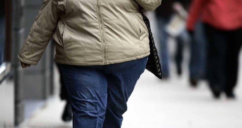 حمية ما قبل التاريخ .. وصفة غذائية «سحرية» لمحاربة السمنة