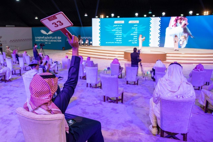 الصقور السعودية .. صفقات مالية تحول الإرث العريق إلى مورد اقتصادي مستدام