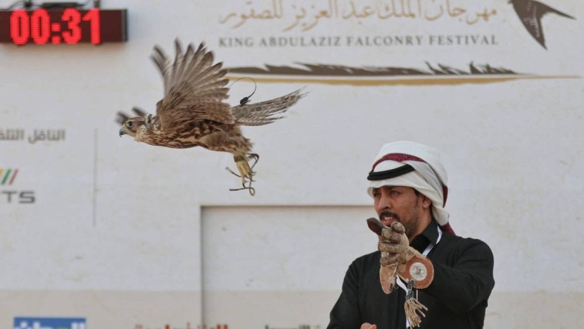 22 مليون ريال جوائز النسخة الـ 3 لمهرجان الملك عبدالعزيز للصقور