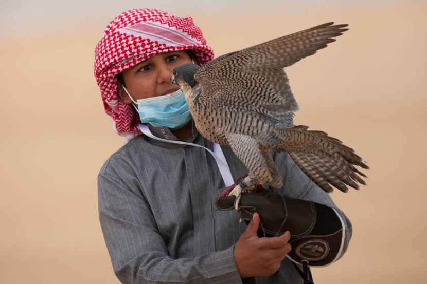 الصغار في مهرجان الصقور كبار .. مشاركين و«ملوحين»