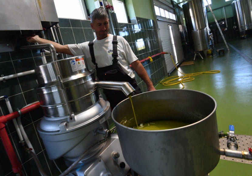 في البوسنة أشجار زيتون سخية في أرض الأشواك والصخور