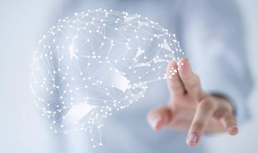 علماء يعيدون برمجة الدماغ لاتخاذ القرار الصحيح