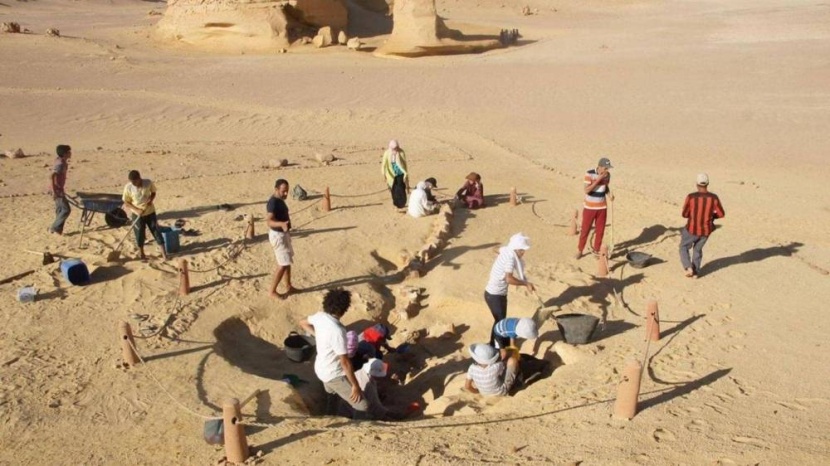 وادي الحيتان .. محمية طبيعية لاكتشافات عمرها 40 مليون عام