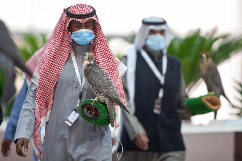 210 صقور تتنافس اليوم في مهرجان الملك عبدالعزيز