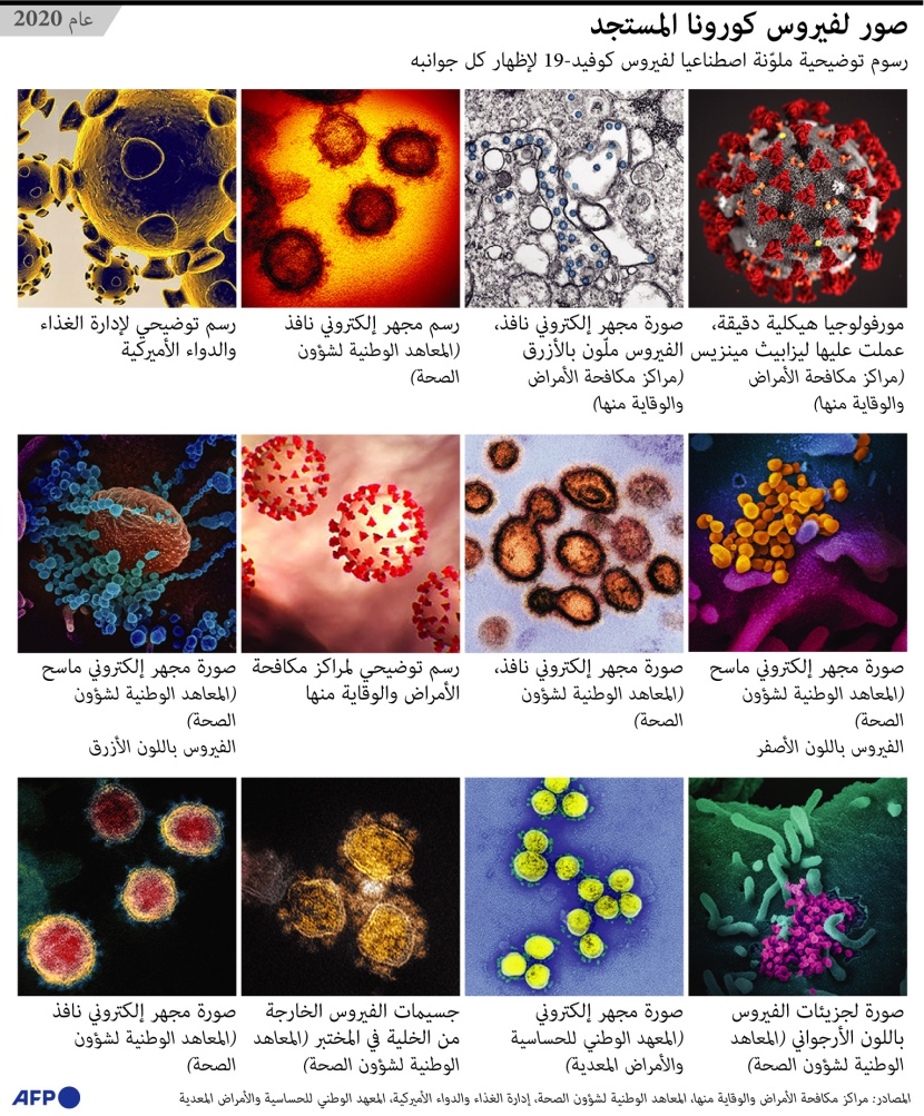 فيروس كورونا في صور