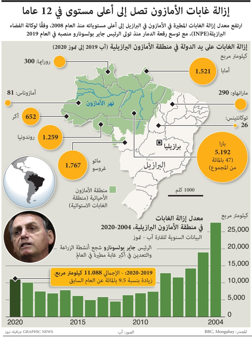 إزالة غابات الأمازون تصل إلى أعلى مستوى في 12 عاما