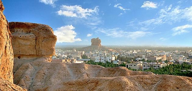 الأحساء.. بيع أرض الفيحاء بـ 113.6 مليون ريال