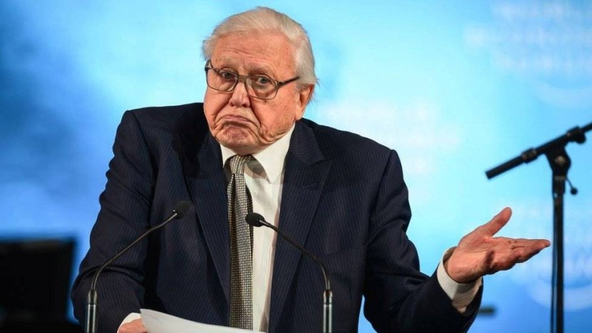 مقدم الوثائقيات ديفيد أتينبارا: تركت "إنستجرام" ولا أنوي العودة