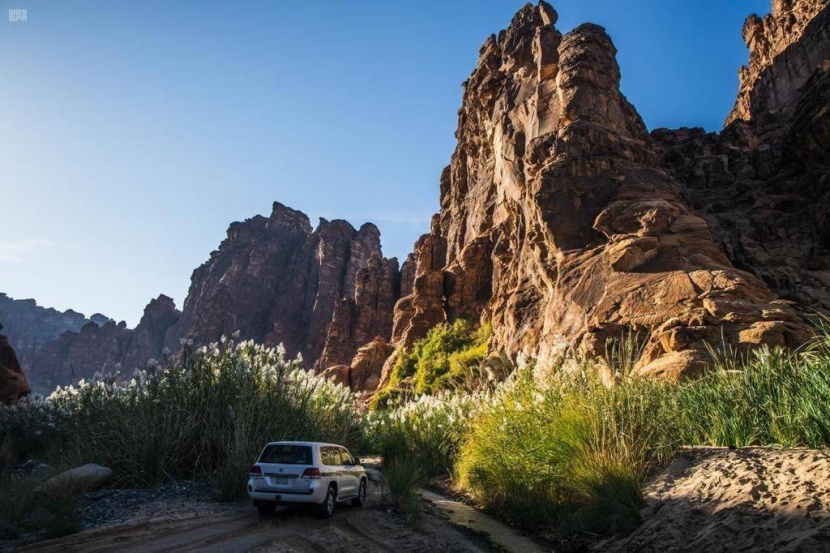 «بوابة الشمال» .. متعة الاستكشاف في «شتاء السعودية»