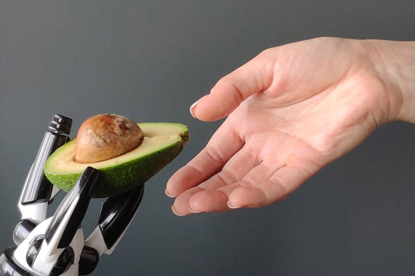 منظومة ذكاء اصطناعي تقدم 67 مليون وصفة غذائية صحية