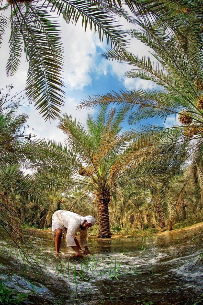 «شتاء السعودية» يعزز مكانة السياحة الريفية المستدامة في المملكة