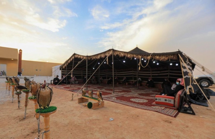 للمحافظة عليها من الانقراض.. إطلاق عدد من الصقور في مواطنها الطبيعية داخل السعودية