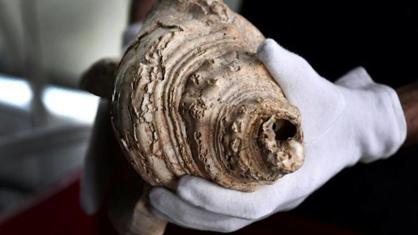 العثور على آلة موسيقية عمرها 18 ألف عام