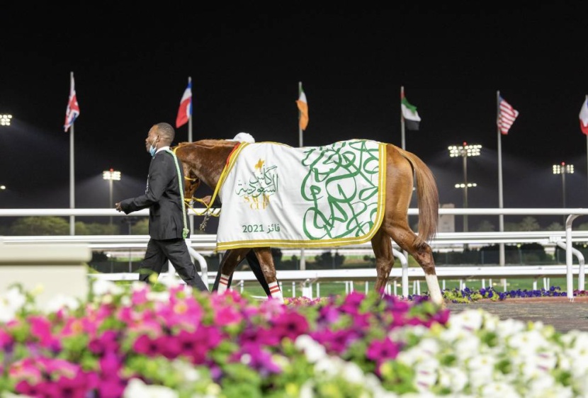 كأس السعودية للخيل تنبض ثقافة وتشع تراثا وموسيقى