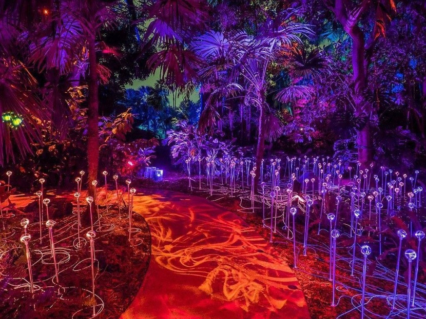 مركز الملك عبدالعزيز يرتدي حلة جديدة لاستضافة "نور الرياض"