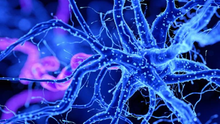 علماء يكتشفون جينات تنبض بالحياة بعد موت الإنسان