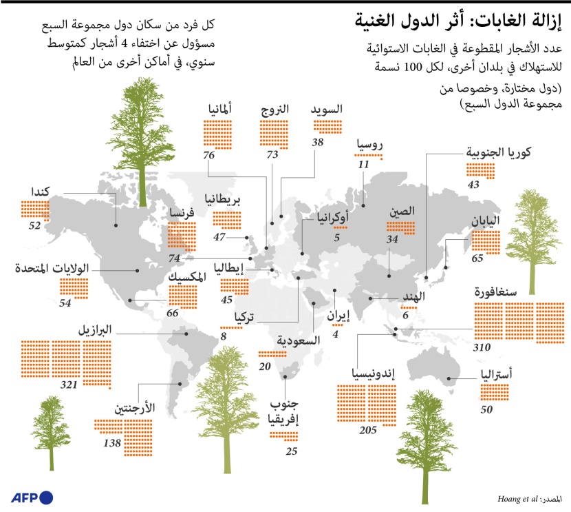 كل فرد حول العالم مسؤول عن اختفاء عدد من الأشجار