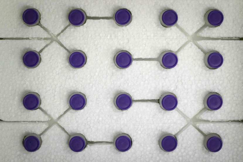 فايزر تعتزم زيادة إنتاج لقاح كورونا إلى 2.5 مليار جرعة في 2021