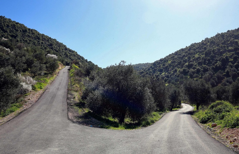 الأردن ذو الطبيعة الصحراوية يسعى لأن يصبح أخضر