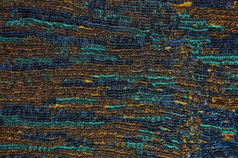  "مقبرة دراجات هوائية مشتركة" في الصين