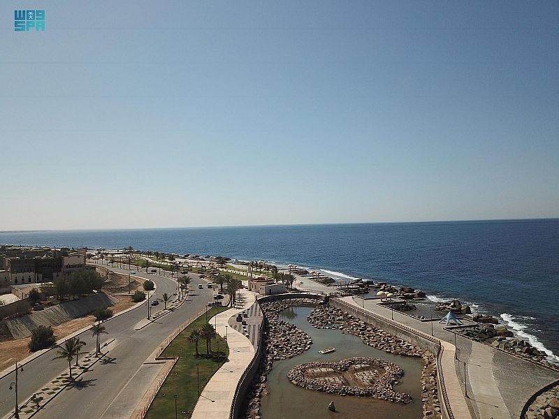 ضباء تستزرع " البلطي والدينس" في واجهتها البحرية للتعريف بالاستزراع السمكي