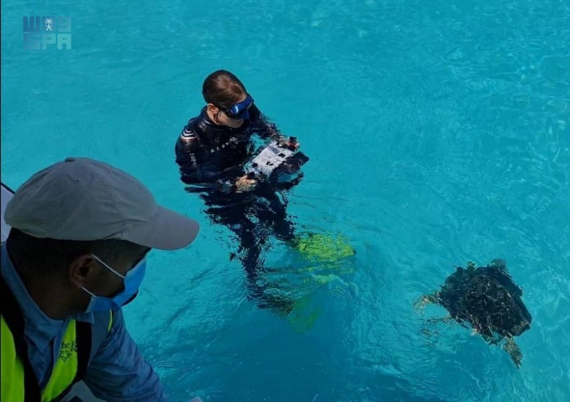  البحر الأحمر تُعيد سلحفاتين من أندر السلاحف في العالم لبيئتها الطبيعية بجزيرة "الوقادي" بعد تماثلها للشفاء