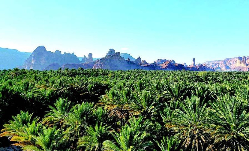 هيئة «العلا» تطلق مشروع المزرعة النموذجية والمدرسة الحقلية