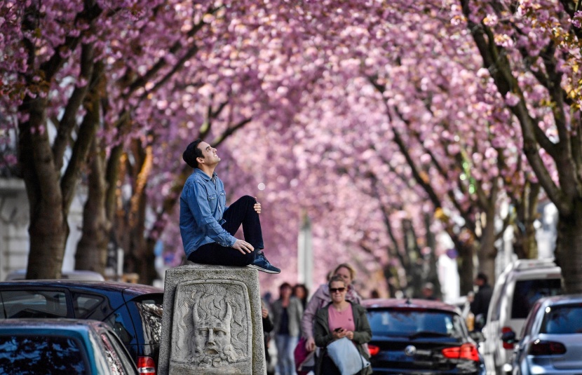 ماهي أفضل دولة للمرأة المسافرة بمفردها؟