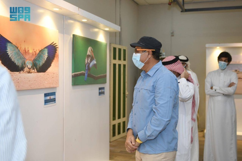 معرض فني يرصد عالم الطيور في الجزيرة العربية