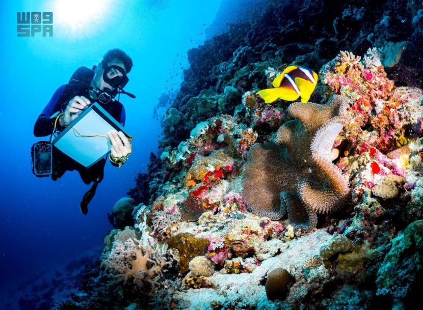 مشروع البحر الأحمر ينال أعلى نقاط التصنيف العالمي المرتبط بالحوكمة